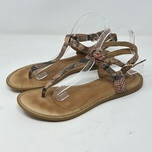 Born Womens Shies 11M Brown Snakeskin Print Leather T-Strap Thong Sandals